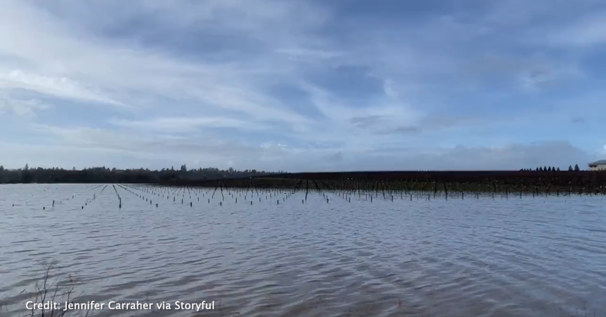 California vineyards flood as storms soak wine country Just The News